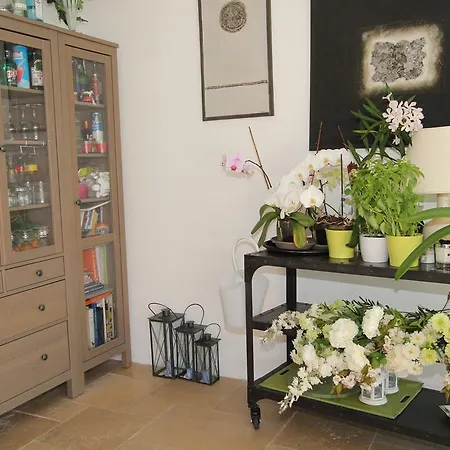 Chambres D'hotes Au Cedre De Saint-remy לינה וארוחת בוקר *